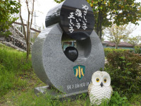 DSCF5053