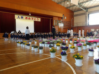 IMGP0045
