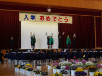 IMGP0063