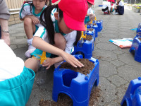IMGP0934