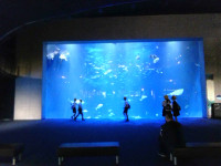IMG_20260521_093806