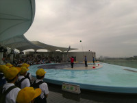IMG_20260521_111110