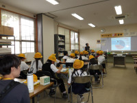 IMGP0989