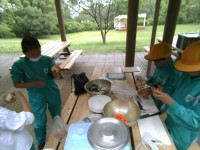 IMG_20260604_110303