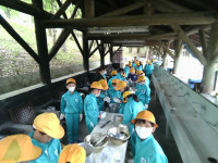 IMG_20260604_112110