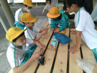 IMG_20260604_145003