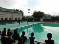 IMGP0637