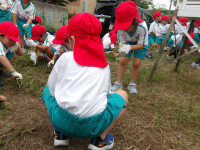 IMGP1799