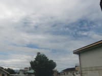 IMGP0712