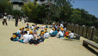 スクリーンショット 2025-05-14 162917
