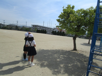IMG_3441.pnghp