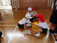 IMGP0993